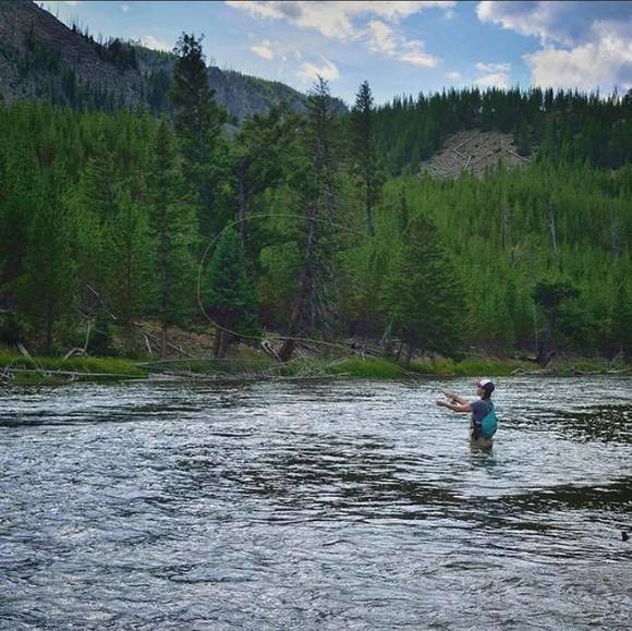 Meet your Posher, Hannah - Picture 1 of 1